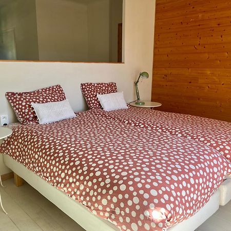 La Perle Des Montagnes - Bed And Breakfast - Chambre D Hote ヴェルネ・レ・バン エクステリア 写真
