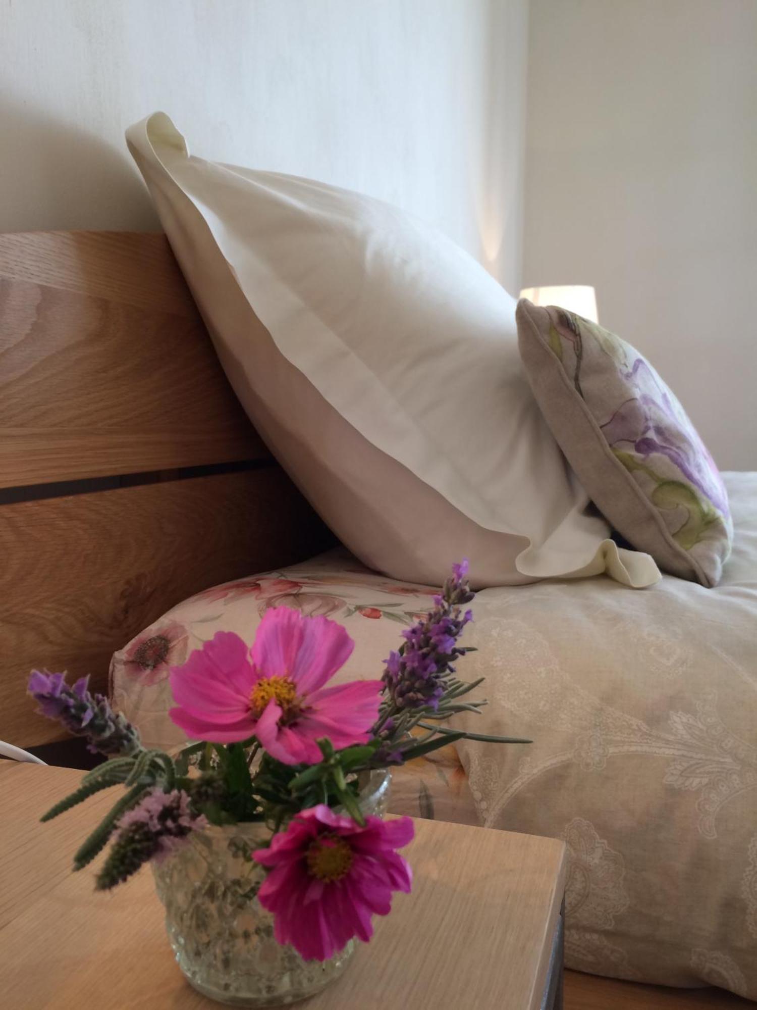 La Perle Des Montagnes - Bed And Breakfast - Chambre D Hote ヴェルネ・レ・バン エクステリア 写真